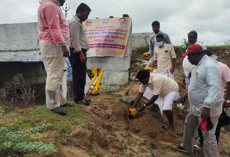 பனை விதைகள் விதைக்கும் பணி தீவிரம்