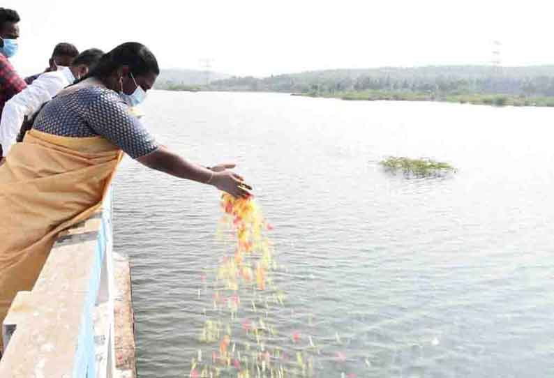 நாகாவதி அணையில் இருந்து பாசனத்திற்கு தண்ணீர் திறப்பு 1993 ஏக்கர் விவசாய நிலங்கள் பயன்பெறும்