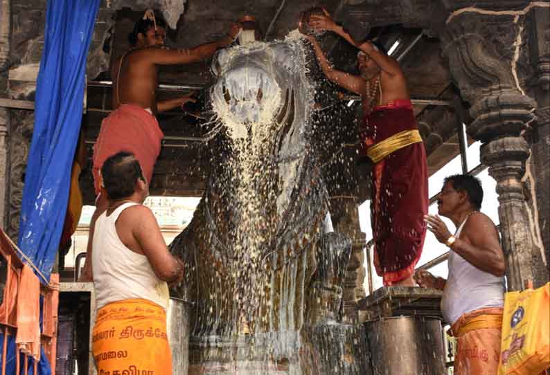 பெரிய நந்திக்கு அபிஷேகம்