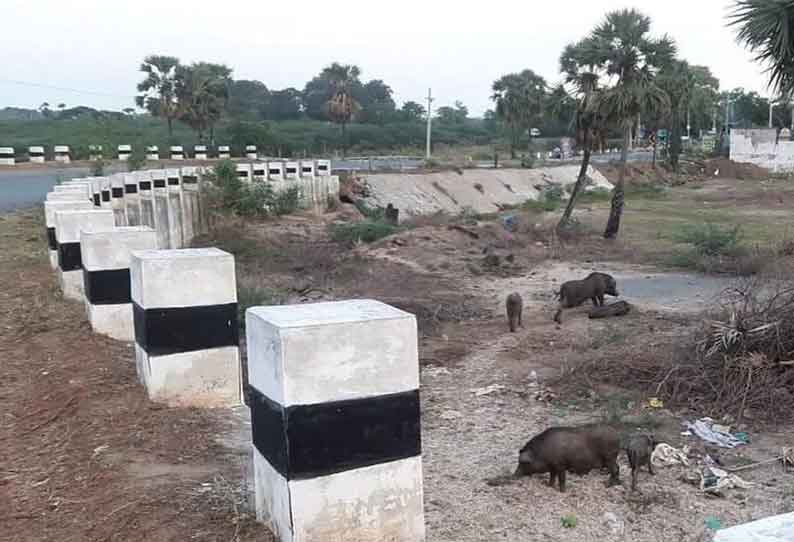 சூரக்காடு பாலம் அருகில் கொட்டப்படும் கோழிக்கழிவுகள்