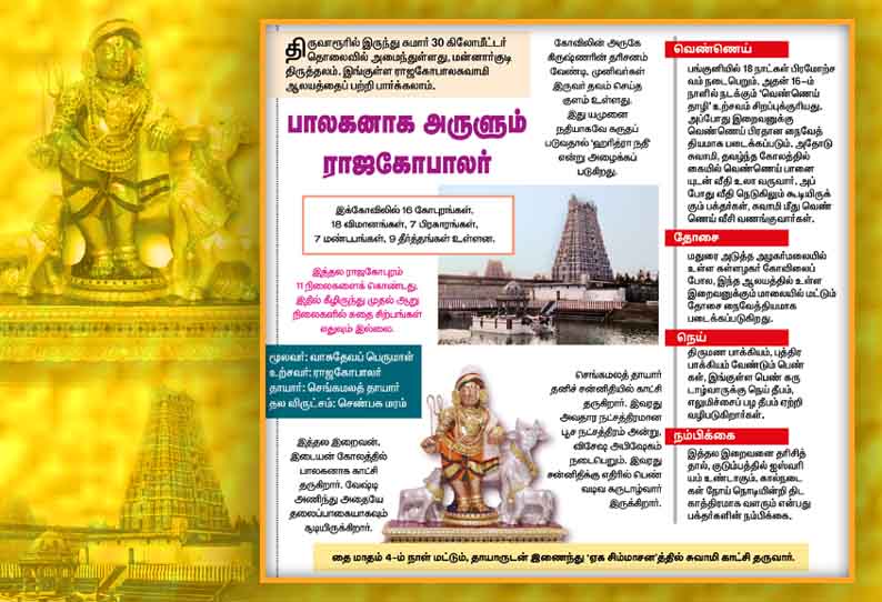 பாலகனாக அருளும் ராஜகோபாலர் பாலகனாக அருளும் ராஜகோபாலர்