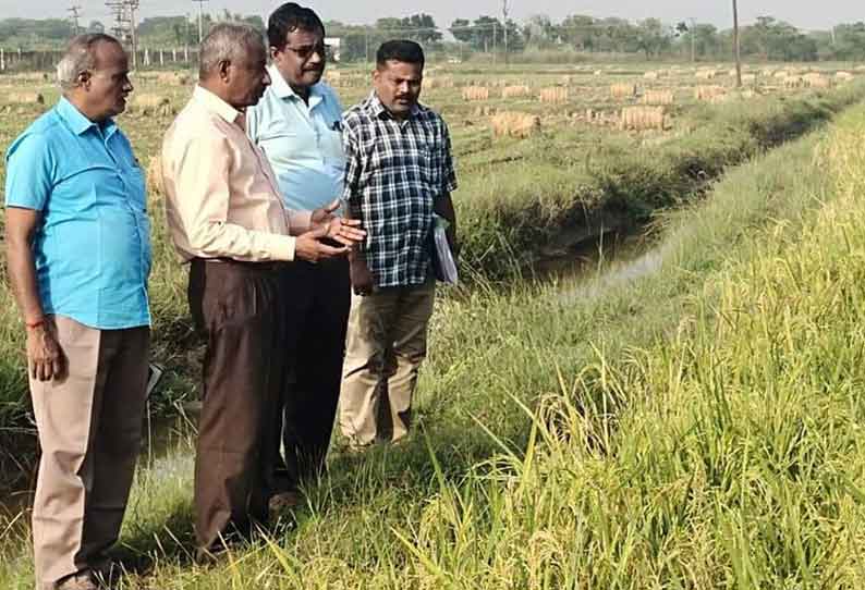 கூடுதல் வேளாண்மை இயக்குனர் ஆய்வு