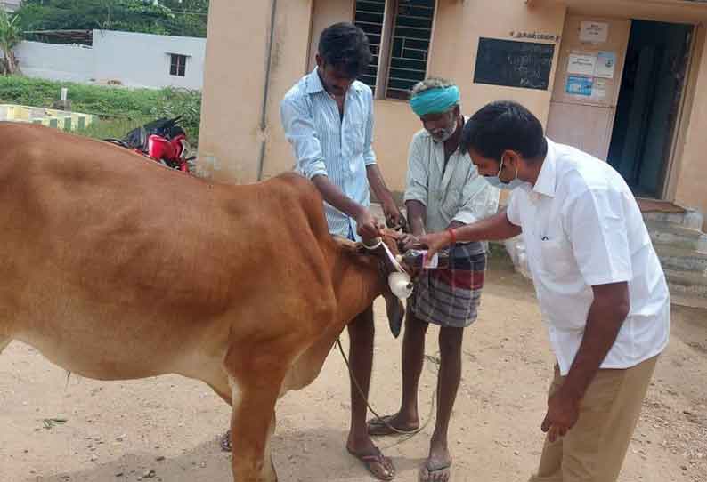 கால்நடை மருந்தகத்திற்கு கட்டமைப்பு வசதிகளை செய்து தர வேண்டும்