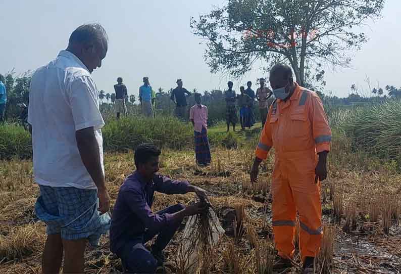 வயலில் கசிந்த எண்ணெய்; ஓ.என்.ஜி.சி குழாய் உடைப்பா...?  அதிகாரிகள் ஆய்வு