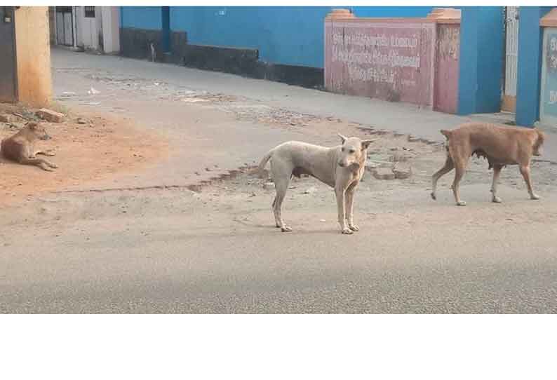 தினத்தந்தி புகார் பெட்டி