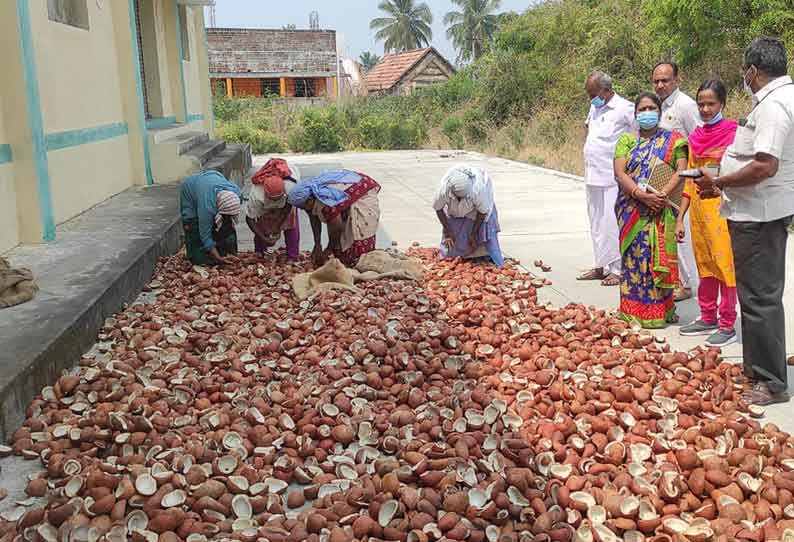 கொப்பரை தேங்காய் கொள்முதல் தொடங்கியது