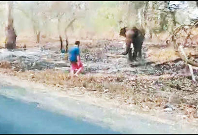 வாகனத்தில் இருந்து இறங்கி சென்று காட்டு யானையின் முன் அமர்ந்து கும்பிட்ட நபர்