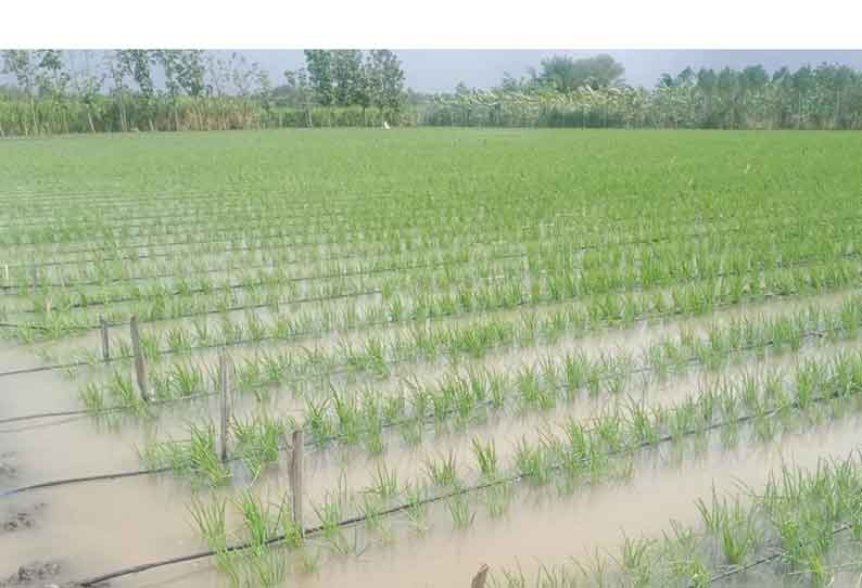 கேரளாவுக்கு கூடுதலாக தண்ணீர் வழங்க கூடாது