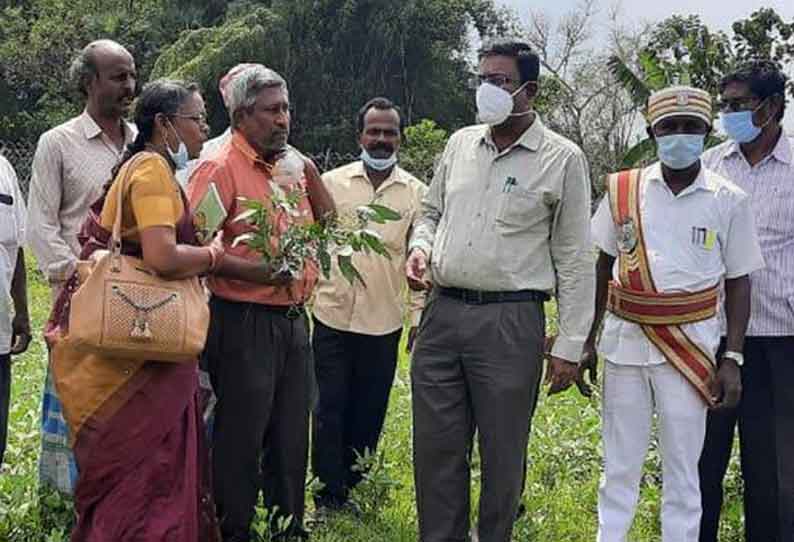 உளுந்து சாகுபடி வயல்களில் கலெக்டர் தினேஷ் பொன்ராஜ் ஆலிவர் ஆய்வு