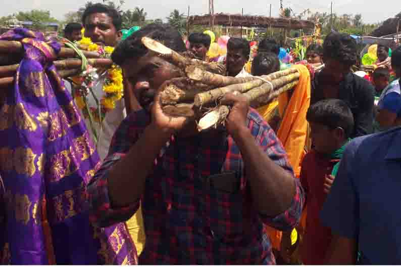 கோவிலூர், திருவரங்குளத்தில்  அம்மன் கோவில்களில் பக்தர்கள் பால்குட ஊர்வலம்  கிடா வெட்டியும் நேர்த்திக்கடன் செலுத்தினர்