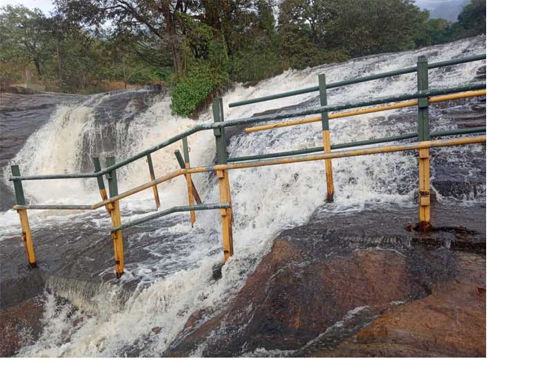 பெரியகுளம் அருகே கும்பக்கரை அருவியில் வெள்ளப்பெருக்கு