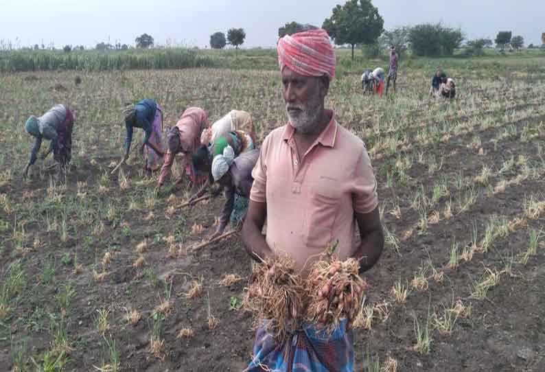 பருவம் தவறி பெய்த மழையால் 1 லட்சம் ஏக்கர் மானாவாரி பயிர்கள் மகசூல் பாதிப்பு