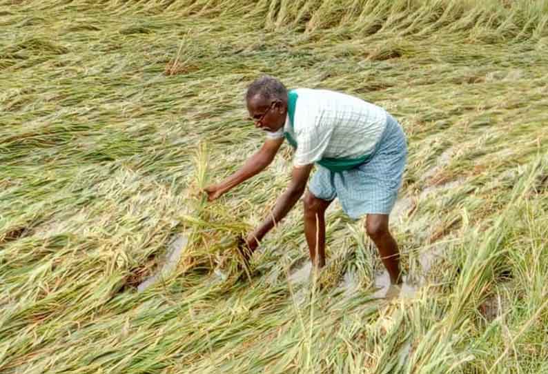 பேராவூரணியில் அதிக பட்சமாக 22 செ.மீ. மழை பெய்தது