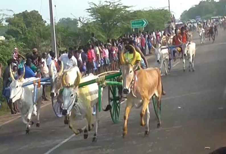 மாட்டு வண்டி பந்தயத்தில் சீறிப்பாய்ந்த காளைகள்