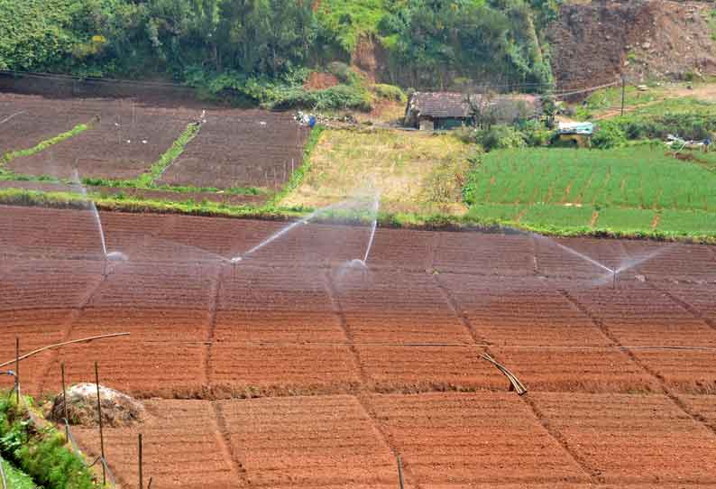 காய்கறி பயிர்களை பாதுகாக்க விவசாயிகள் முன்னேற்பாடு