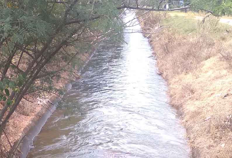 கோவில்பாளையம் கிளை வாய்க்காலில் தண்ணீர் திறப்பு