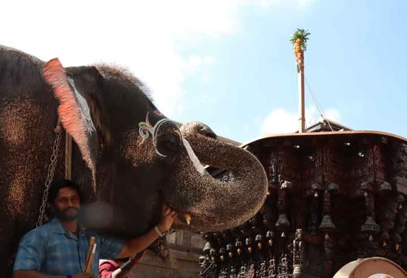 ஸ்ரீரங்கம் ரெங்கநாதர் கோவிலில்  தைத்தேர் திருவிழா