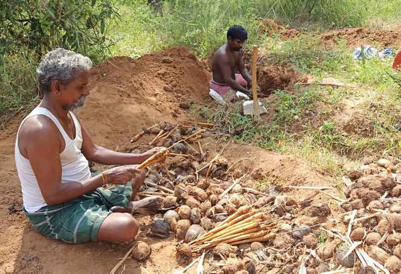 தேனி அருகே பனங்கிழங்கு அறுவடை பணி தீவிரம்