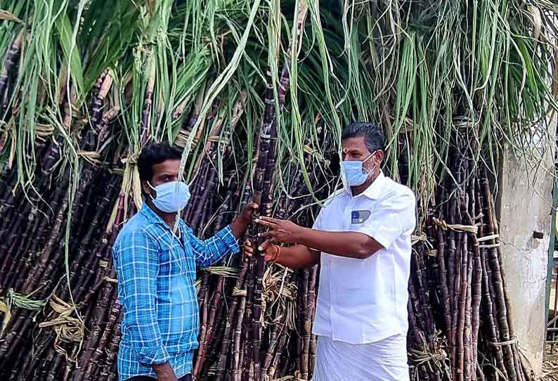 திருவாரூர் கடைவீதியில் கரும்பு, வாழைத்தார் விற்பனை