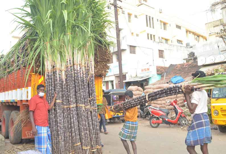 மார்க்கெட்டுகளில் விற்பனைக்கு குவிந்த கரும்புகள்