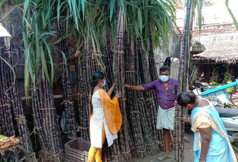 நாகையில் கரும்பு விற்பனை மும்முரம்