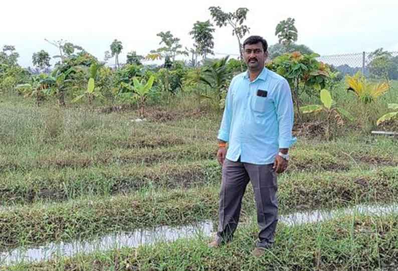 ஜப்பானிய முறையில் குறுங்காடு வளர்க்கும் என்ஜினீயரிங் பட்டதாரி