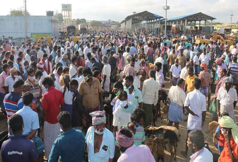 மேலப்பாளையம் சந்தையில் ஆடு விற்பனை களை கட்டியது