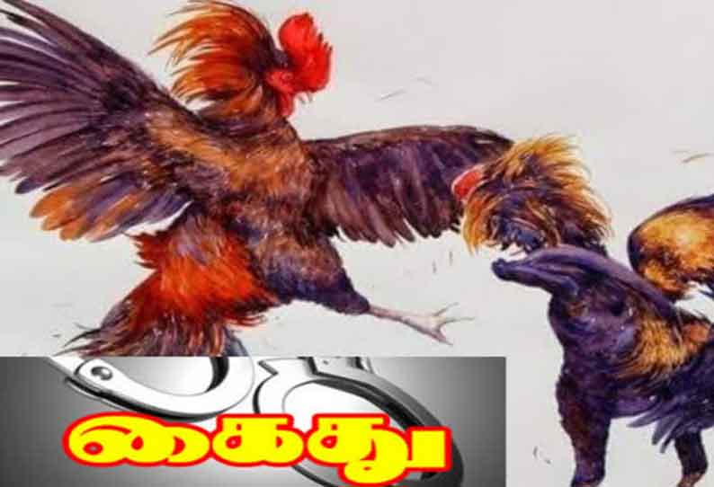 சேவல் சூதாட்டத்தில் ஈடுபட்ட 20 பேர் கைது