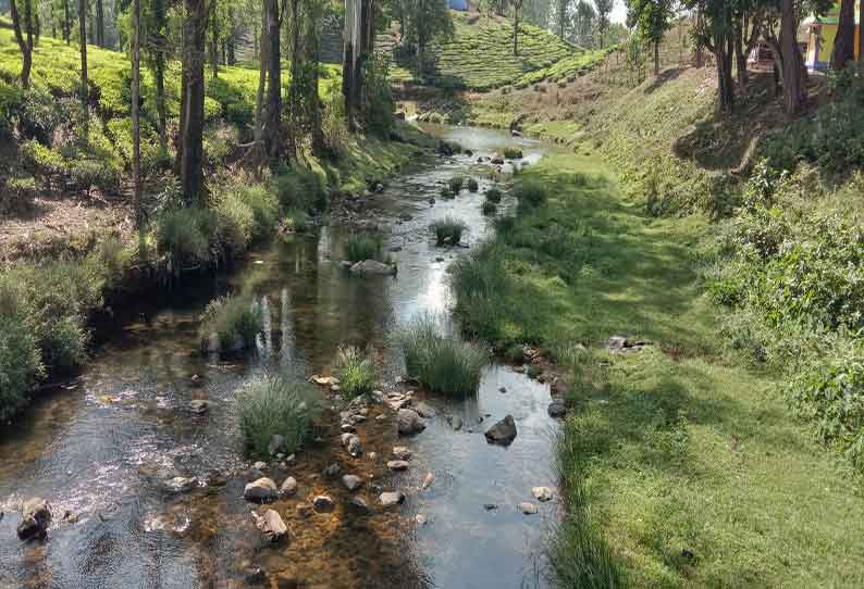 வால்பாறை பகுதியில் நீர்நிலைகளில் தண்ணீர் குறைந்தது