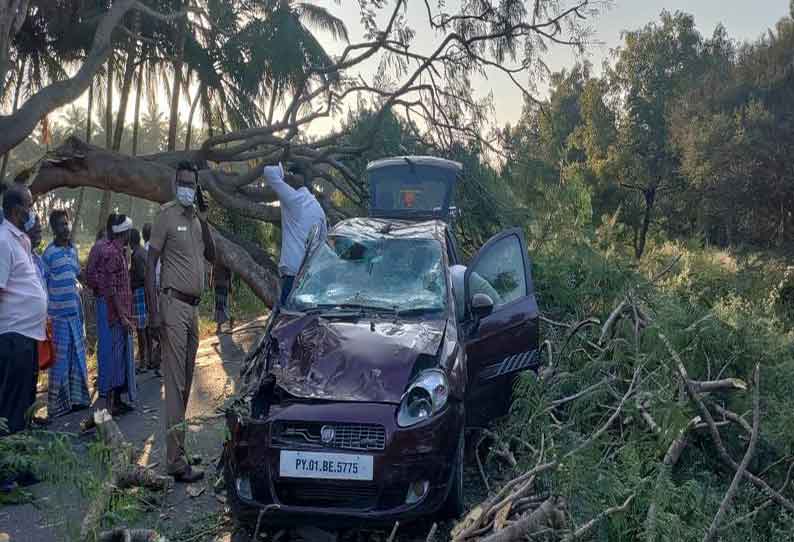 கார் மீது மரம் விழுந்து 6 பேர் காயம்