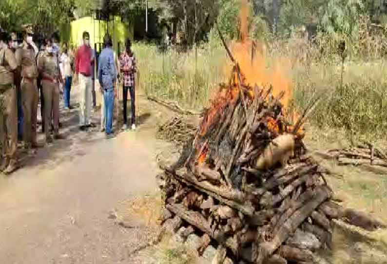 கோவை வனப்பகுதியில் உயிரிழந்த வன விலங்குகளின் கொம்பு உள்பட 274 பொருட்கள் தீ வைத்து எரித்து அழிக்கப்பட்டன