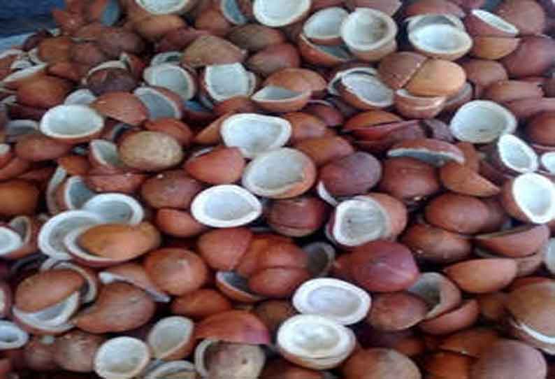 கொப்பரை தேங்காய் கொள்முதல் தொடக்கம்