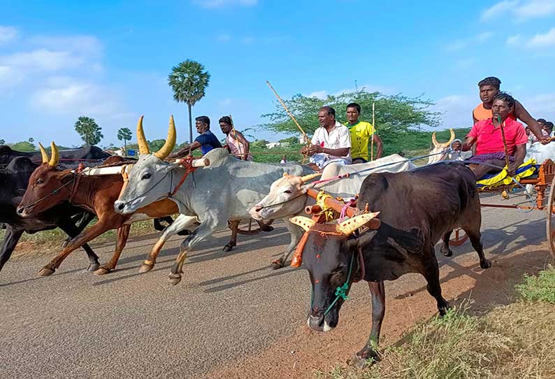 ஸ்ரீவைகுண்டம் அருகே மாட்டு வண்டி பந்தயம்