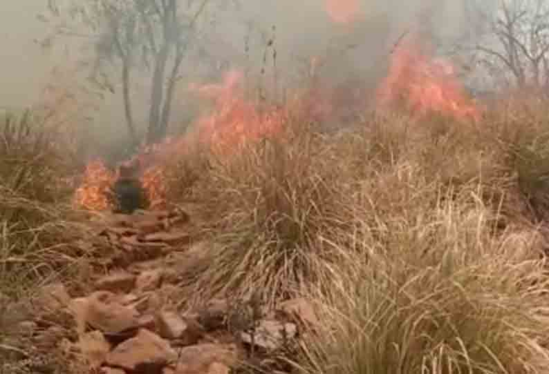 மேல் மலைக்குன்று பகுதியில் திடீர் காட்டுத்தீ