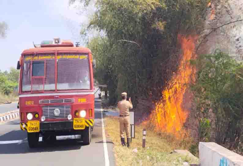 மூங்கில் காட்டில் தீ