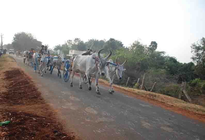 திருமயம் அருகே மாட்டு வண்டி பந்தயம்