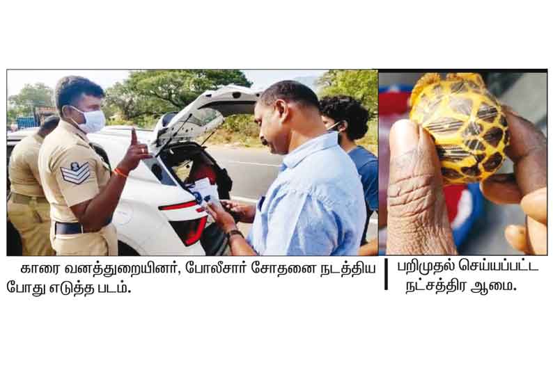 காரில் கொண்டு செல்லப்பட்ட நட்சத்திர ஆமை பறிமுதல்