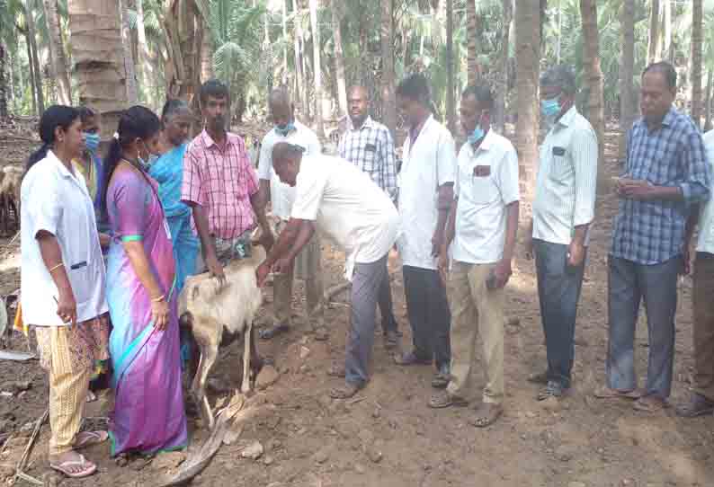 ராஜபாளையத்தில் அதிகாரிகள் ஆய்வு