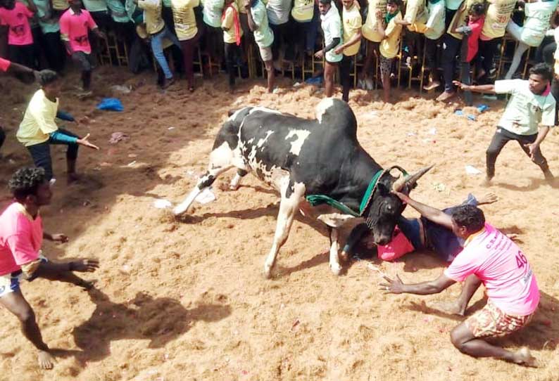 சீறிப்பாய்ந்த காளைகளை உற்சாகமாக அடக்கிய வீரர்கள்