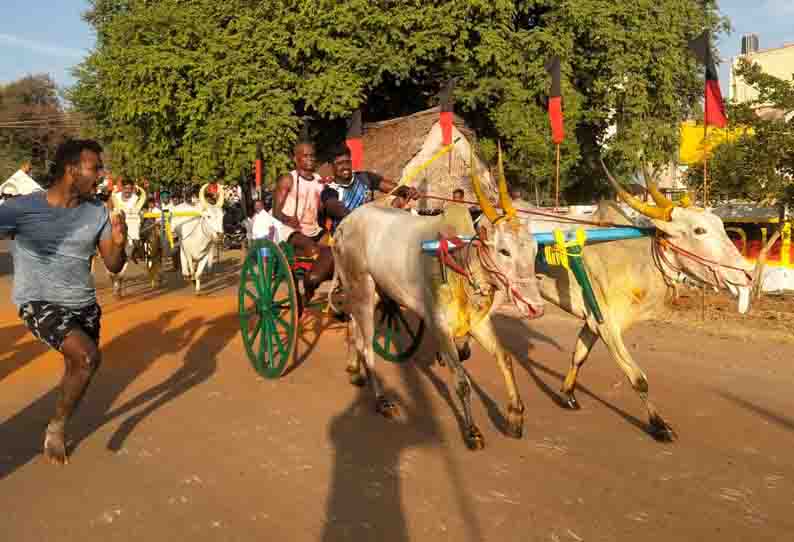 மாட்டு வண்டி எல்கை பந்தயம்