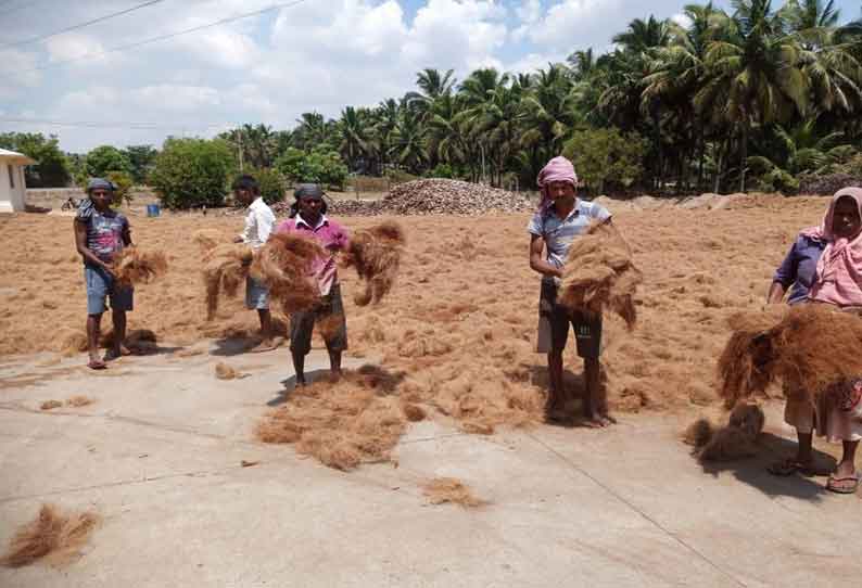 தென்னை நார் உலர வைக்கும் பணி தீவிரம்