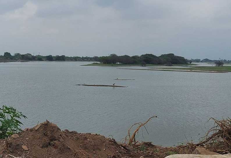 திருக்கோவிலூர் பெரிய ஏரி நீர்மட்டம் திடீர் குறைவு தண்ணீரை திறந்துவிட்டவர்கள் மீது நடவடிக்கை எடுக்க விவசாயிகள் வலியுறுத்தல்