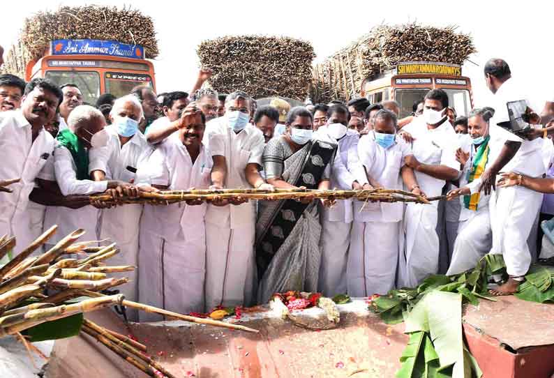 பாலக்கோடு கூட்டுறவு சர்க்கரை ஆலையில் கரும்பு அரவை பணி தொடக்கம்