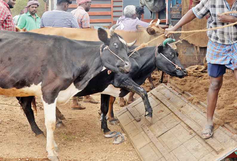 மாட்டுச் சந்தைக்கு அடிப்படை வசதிகள் செய்துதரப்படுமா