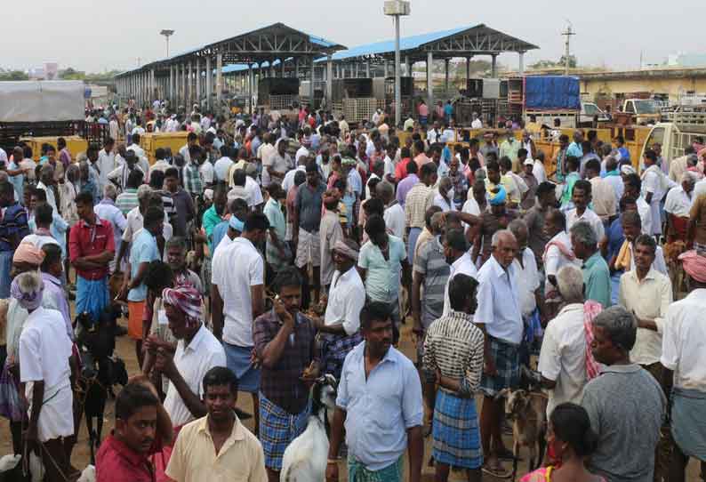 மேலப்பாளையம் சந்தையில் ஆடு, கோழிகள் விற்பனை அமோகம்