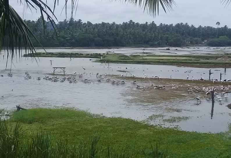 தினத்தந்தி புகார் பெட்டி