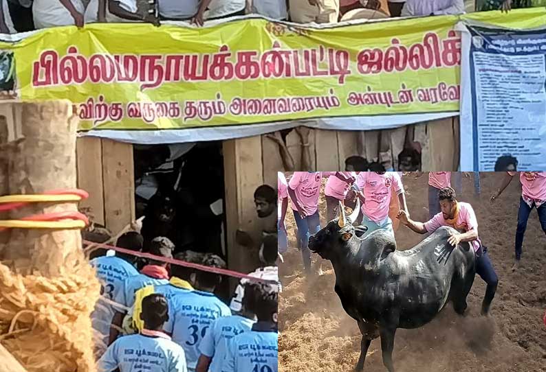 திண்டுக்கல்: பில்லமநாயக்கன்பட்டி ஜல்லிக்கட்டில் சீறி பாயும் காளைகள்..!