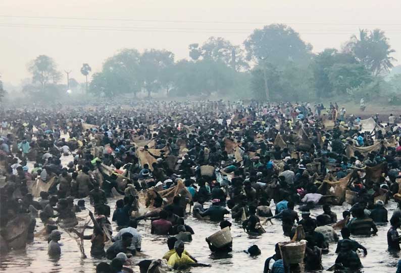 பாரம்பரிய மீன்பிடி திருவிழா; ஏராளமான பொதுமக்கள் கலந்து கொண்டு மீன்களை பிடித்தனர்...!