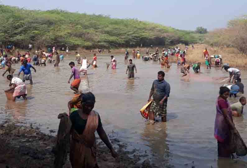 திருப்பத்தூர் அருகே மீன்பிடி திருவிழா