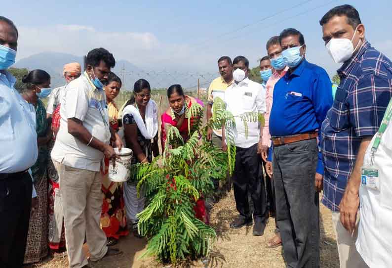 நகர்ப்புற வேலைவாய்ப்பு திட்டம் தொடக்கம்